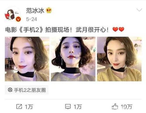 娱乐圈吃瓜小杨是谁